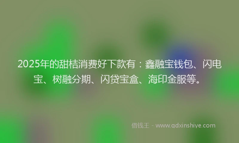 2025年的甜桔消费好下款有：鑫融宝钱包、闪电宝、树融分期、闪贷宝盒、海印金服等。