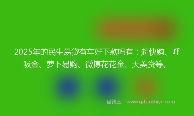 2025年的民生易贷有车好下款吗有：超快购、呼吸金、萝卜易购、微博花花金、天美贷等。