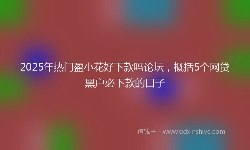 2025年热门盈小花好下款吗论坛，概括5个网贷黑户必下款的口子