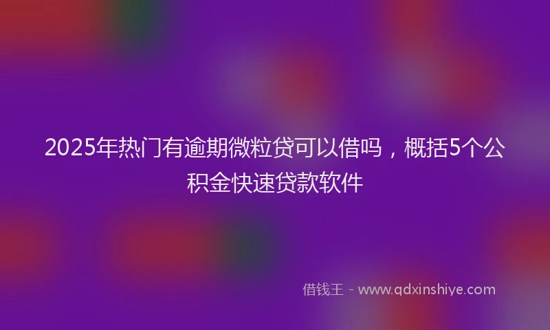 2025年热门有逾期微粒贷可以借吗，概括5个公积金快速贷款软件