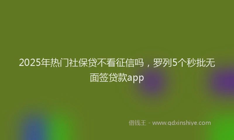 2025年热门社保贷不看征信吗，罗列5个秒批无面签贷款app