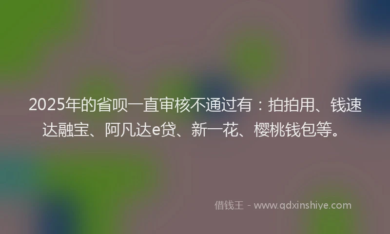 2025年的省呗一直审核不通过有：拍拍用、钱速达融宝、阿凡达e贷、新一花、樱桃钱包等。