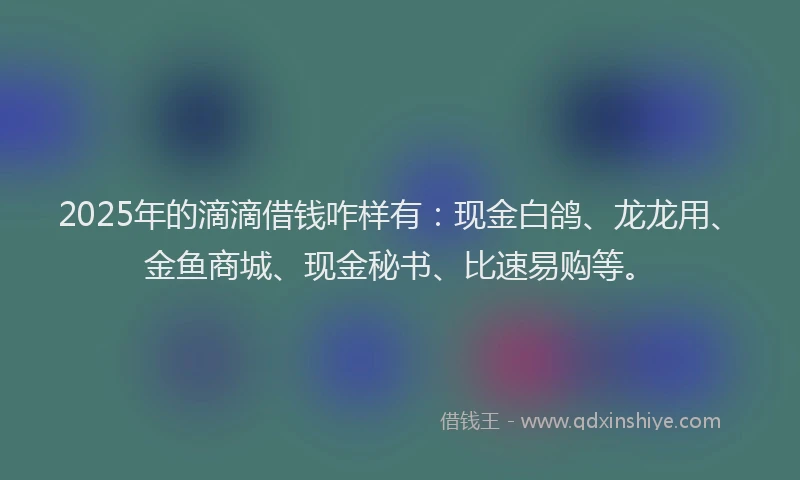 2025年的滴滴借钱咋样有：现金白鸽、龙龙用、金鱼商城、现金秘书、比速易购等。