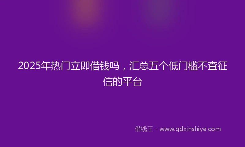 2025年热门立即借钱吗，汇总五个低门槛不查征信的平台