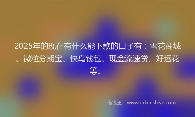 2025年的现在有什么能下款的口子有：雪花商城、微粒分期宝、快鸟钱包、现金流速贷、好运花等。