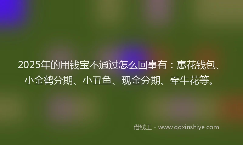 2025年的用钱宝不通过怎么回事有：惠花钱包、小金鹤分期、小丑鱼、现金分期、牵牛花等。