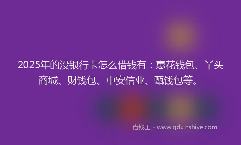 2025年的没银行卡怎么借钱有：惠花钱包、丫头商城、财钱包、中安信业、甄钱包等。