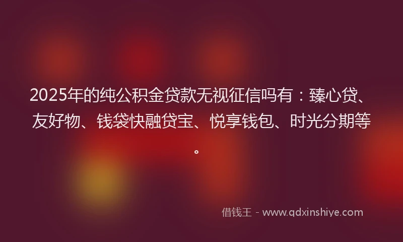 2025年的纯公积金贷款无视征信吗有：臻心贷、友好物、钱袋快融贷宝、悦享钱包、时光分期等。