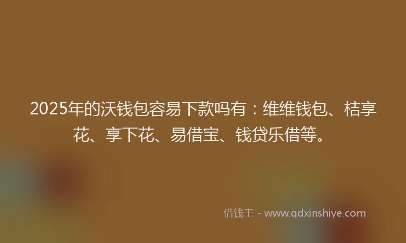 2025年的沃钱包容易下款吗有：维维钱包、桔享花、享下花、易借宝、钱贷乐借等。