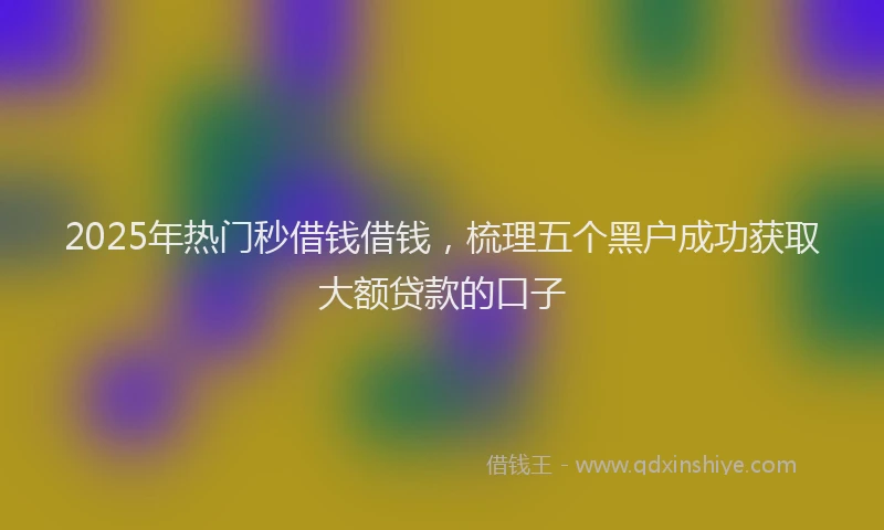 2025年热门秒借钱借钱，梳理五个黑户成功获取大额贷款的口子
