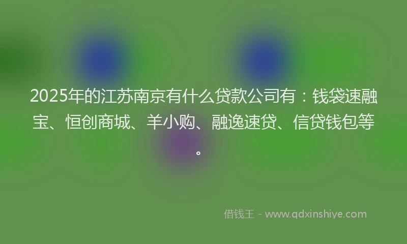 2025年的江苏南京有什么贷款公司有：钱袋速融宝、恒创商城、羊小购、融逸速贷、信贷钱包等。