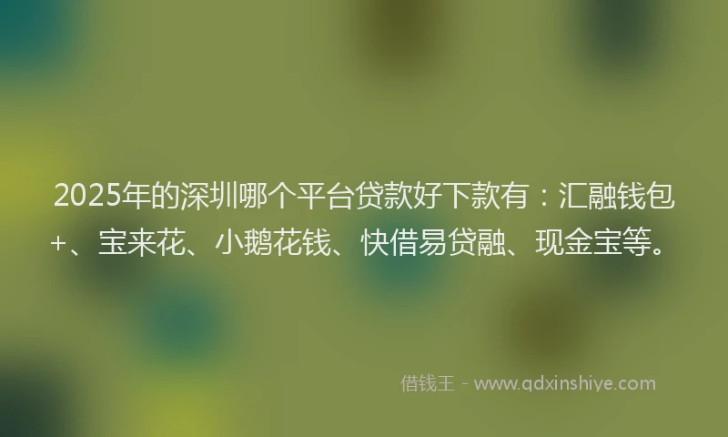 2025年的深圳哪个平台贷款好下款有：汇融钱包+、宝来花、小鹅花钱、快借易贷融、现金宝等。