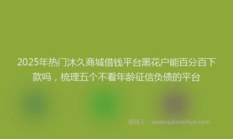 2025年热门沐久商城借钱平台黑花户能百分百下款吗，梳理五个不看年龄征信负债的平台