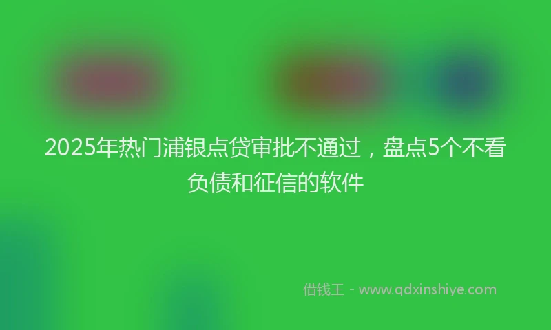 2025年热门浦银点贷审批不通过，盘点5个不看负债和征信的软件