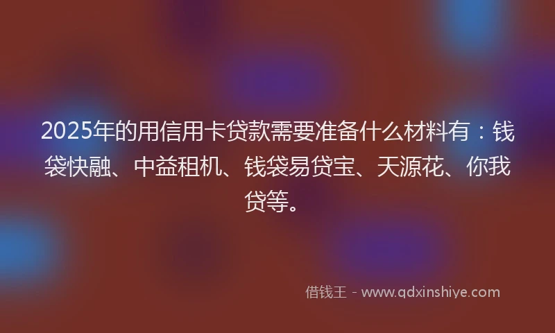 2025年的用信用卡贷款需要准备什么材料有：钱袋快融、中益租机、钱袋易贷宝、天源花、你我贷等。