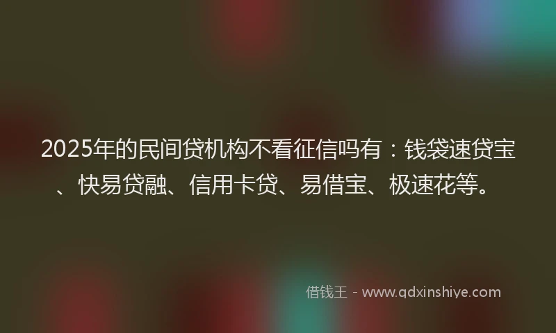 2025年的民间贷机构不看征信吗有：钱袋速贷宝、快易贷融、信用卡贷、易借宝、极速花等。