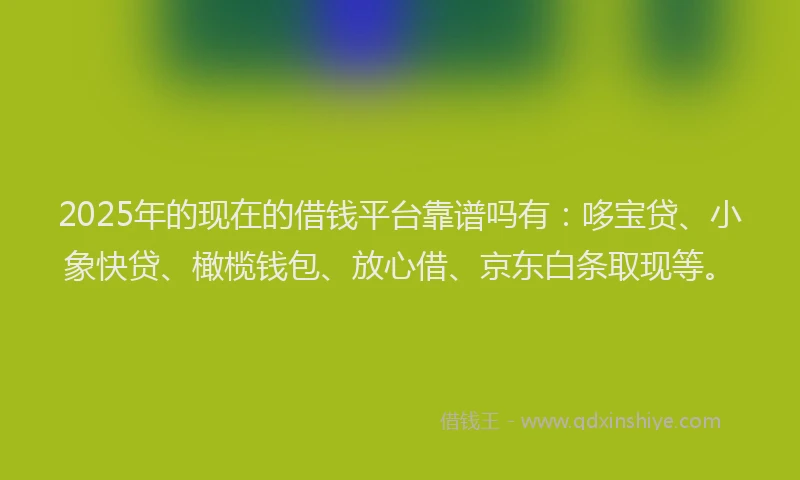 2025年的现在的借钱平台靠谱吗有：哆宝贷、小象快贷、橄榄钱包、放心借、京东白条取现等。