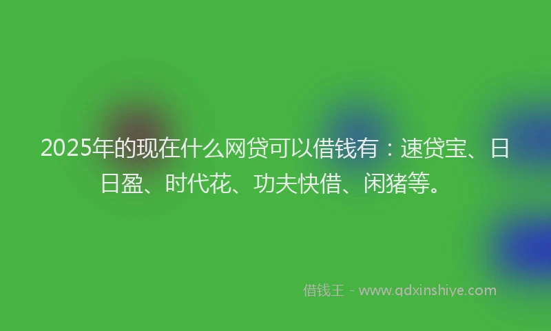 2025年的现在什么网贷可以借钱有：速贷宝、日日盈、时代花、功夫快借、闲猪等。