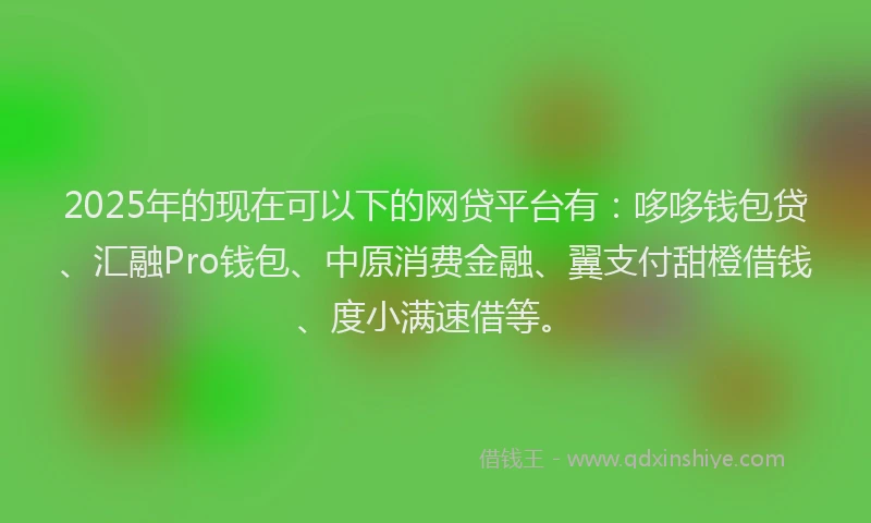 2025年的现在可以下的网贷平台有：哆哆钱包贷、汇融Pro钱包、中原消费金融、翼支付甜橙借钱、度小满速借等。