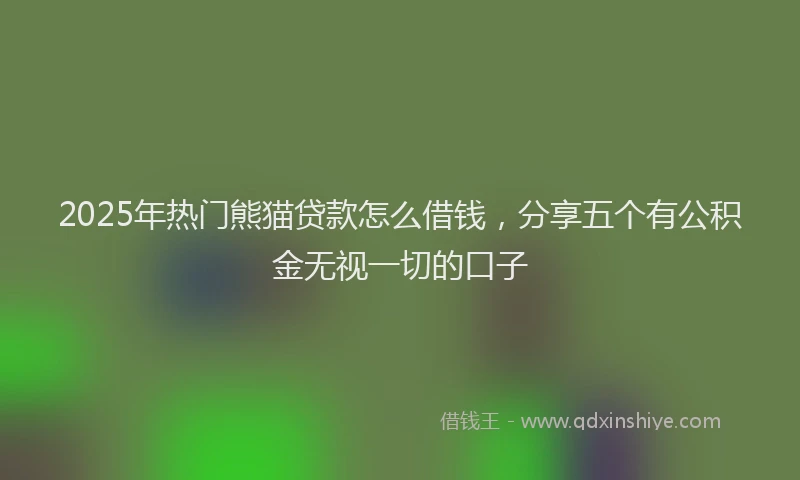 2025年热门熊猫贷款怎么借钱，分享五个有公积金无视一切的口子