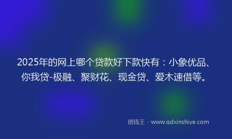 2025年的网上哪个贷款好下款快有：小象优品、你我贷-极融、聚财花、现金贷、爱木速借等。