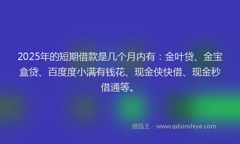 2025年的短期借款是几个月内有：金叶贷、金宝盒贷、百度度小满有钱花、现金侠快借、现金秒借通等。