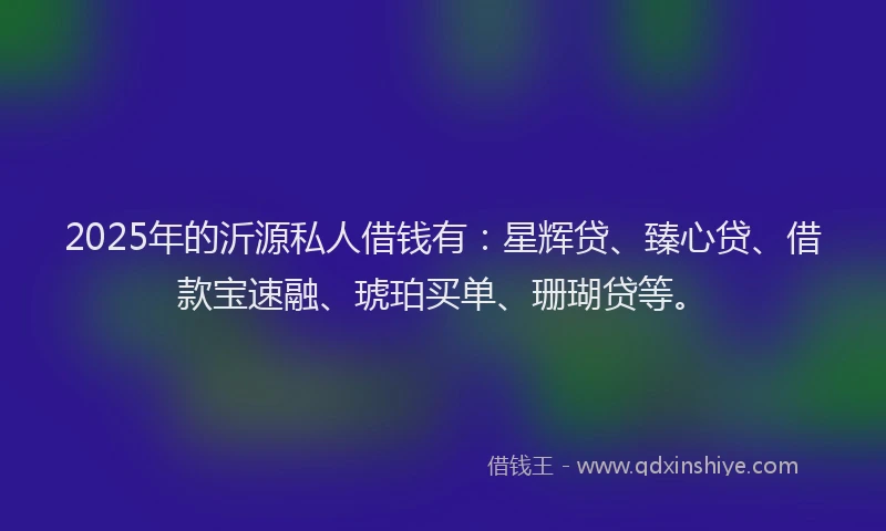 2025年的沂源私人借钱有：星辉贷、臻心贷、借款宝速融、琥珀买单、珊瑚贷等。
