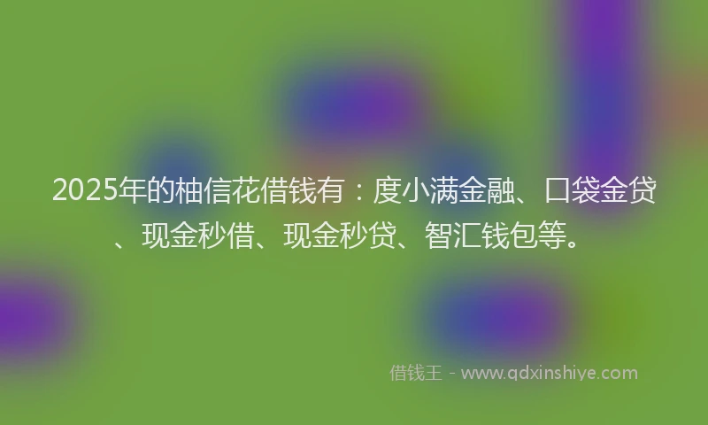 2025年的柚信花借钱有：度小满金融、口袋金贷、现金秒借、现金秒贷、智汇钱包等。