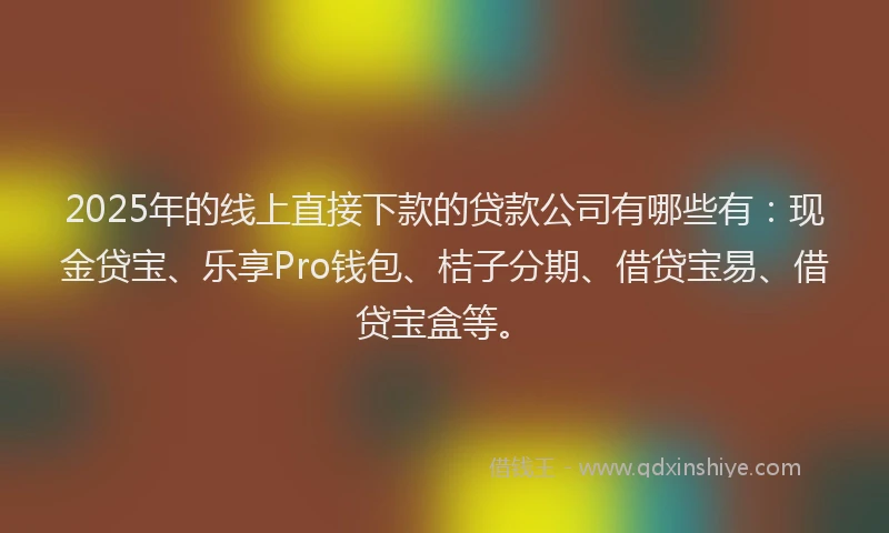 2025年的线上直接下款的贷款公司有哪些有：现金贷宝、乐享Pro钱包、桔子分期、借贷宝易、借贷宝盒等。