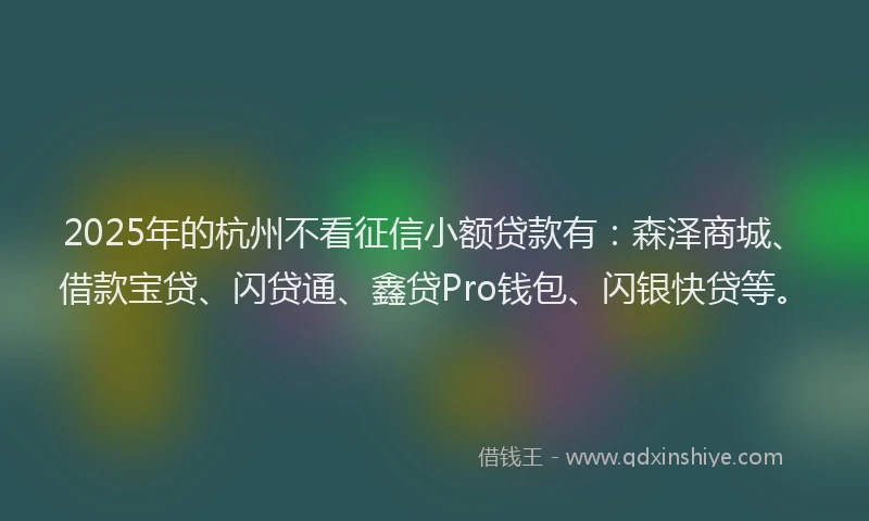 2025年的杭州不看征信小额贷款有：森泽商城、借款宝贷、闪贷通、鑫贷Pro钱包、闪银快贷等。