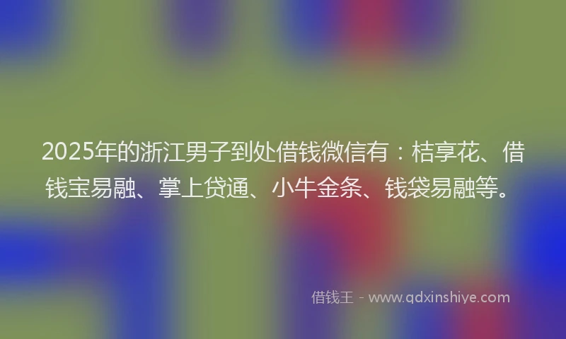 2025年的浙江男子到处借钱微信有：桔享花、借钱宝易融、掌上贷通、小牛金条、钱袋易融等。