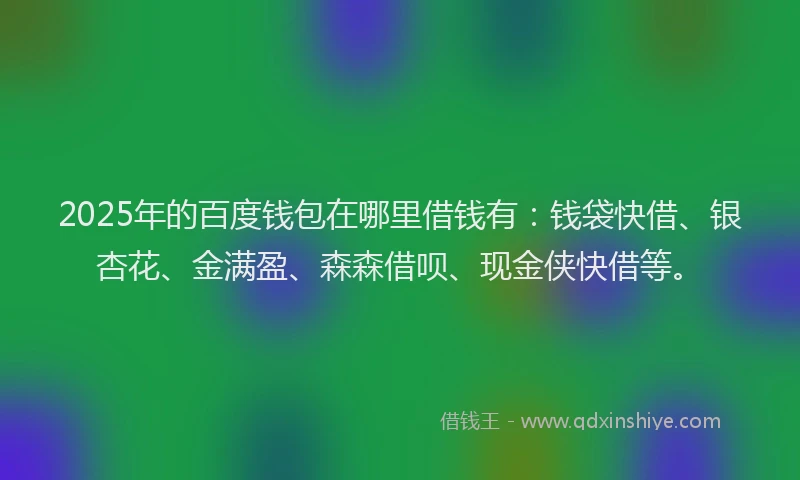 2025年的百度钱包在哪里借钱有：钱袋快借、银杏花、金满盈、森森借呗、现金侠快借等。
