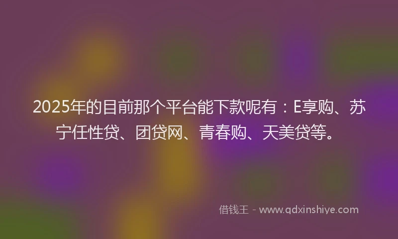 2025年的目前那个平台能下款呢有：E享购、苏宁任性贷、团贷网、青春购、天美贷等。