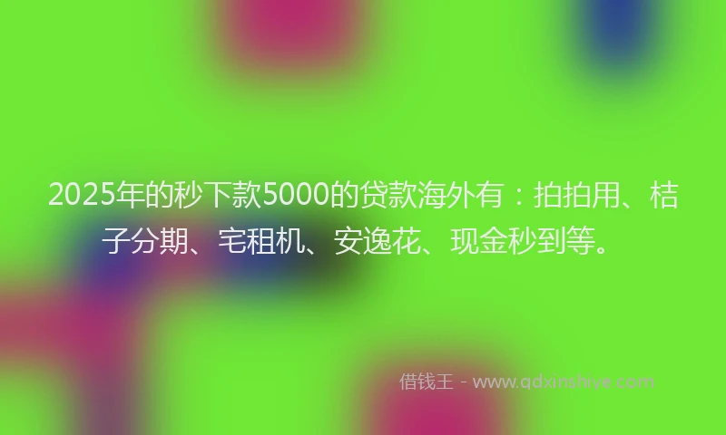 2025年的秒下款5000的贷款海外有：拍拍用、桔子分期、宅租机、安逸花、现金秒到等。