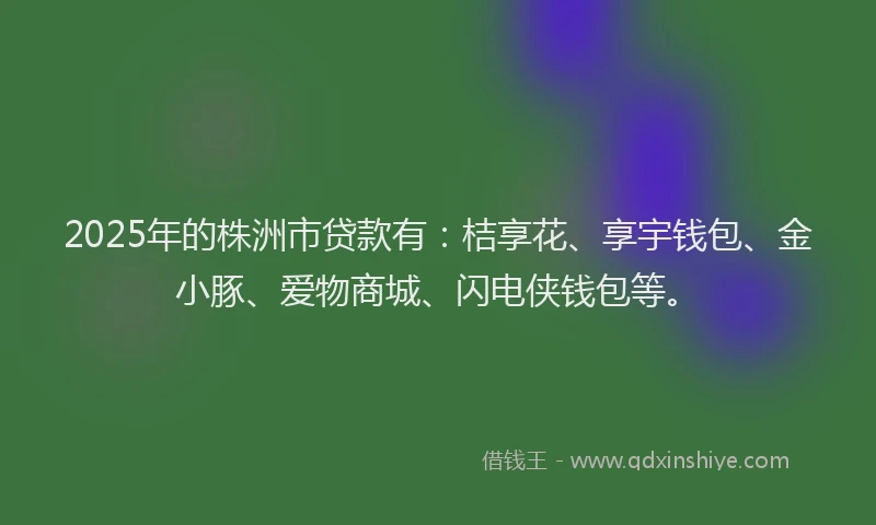 2025年的株洲市贷款有：桔享花、享宇钱包、金小豚、爱物商城、闪电侠钱包等。