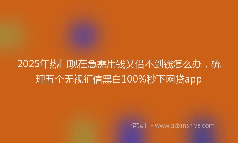 2025年热门现在急需用钱又借不到钱怎么办，梳理五个无视征信黑白100%秒下网贷app