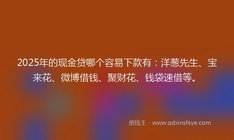 2025年的现金贷哪个容易下款有：洋葱先生、宝来花、微博借钱、聚财花、钱袋速借等。