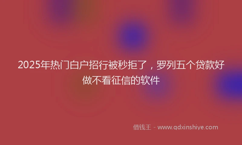 2025年热门白户招行被秒拒了，罗列五个贷款好做不看征信的软件