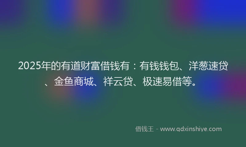 2025年的有道财富借钱有：有钱钱包、洋葱速贷、金鱼商城、祥云贷、极速易借等。