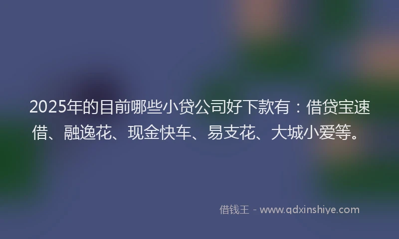 2025年的目前哪些小贷公司好下款有：借贷宝速借、融逸花、现金快车、易支花、大城小爱等。