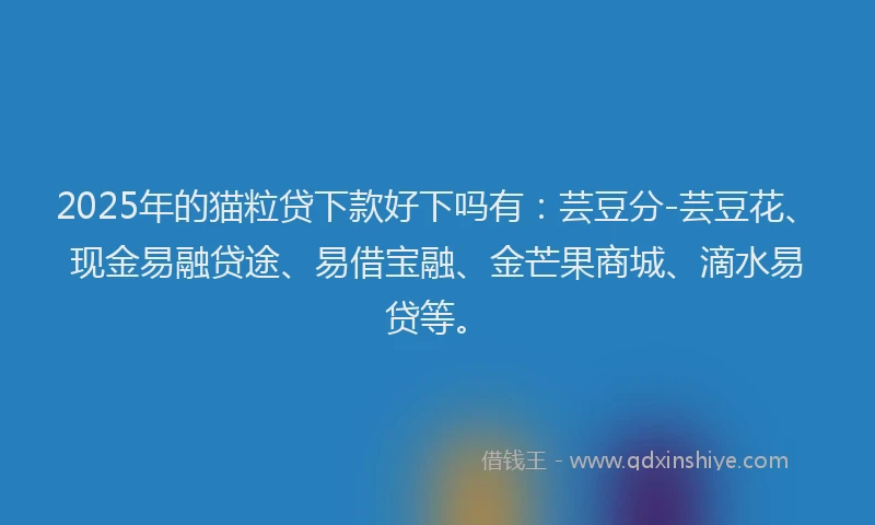2025年的猫粒贷下款好下吗有：芸豆分-芸豆花、现金易融贷途、易借宝融、金芒果商城、滴水易贷等。