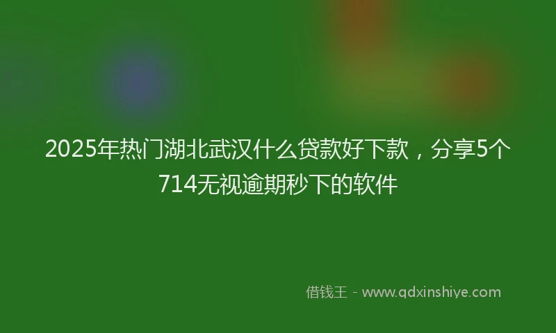 2025年热门湖北武汉什么贷款好下款，分享5个714无视逾期秒下的软件