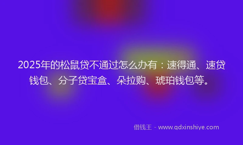 2025年的松鼠贷不通过怎么办有：速得通、速贷钱包、分子贷宝盒、朵拉购、琥珀钱包等。