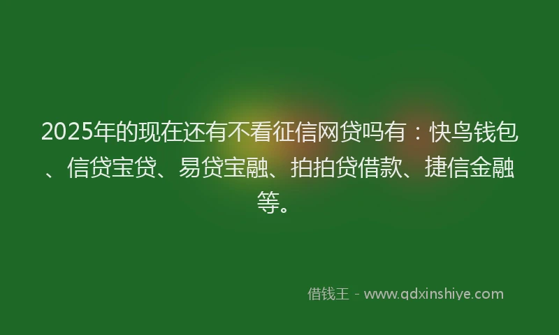 2025年的现在还有不看征信网贷吗有：快鸟钱包、信贷宝贷、易贷宝融、拍拍贷借款、捷信金融等。