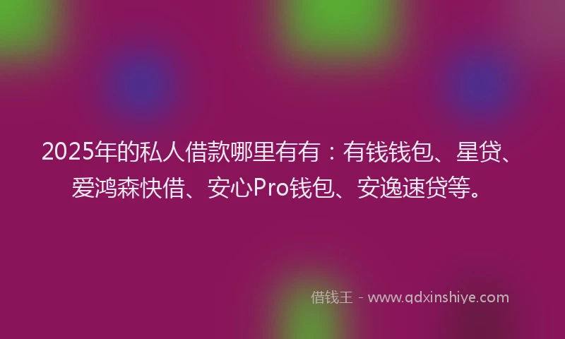 2025年的私人借款哪里有有：有钱钱包、星贷、爱鸿森快借、安心Pro钱包、安逸速贷等。
