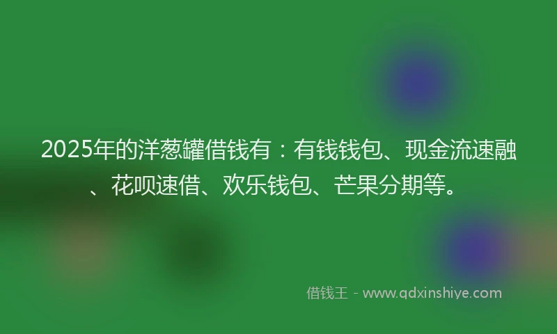 2025年的洋葱罐借钱有：有钱钱包、现金流速融、花呗速借、欢乐钱包、芒果分期等。