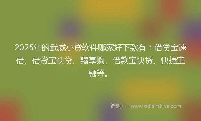 2025年的武威小贷软件哪家好下款有：借贷宝速借、借贷宝快贷、臻享购、借款宝快贷、快捷宝融等。