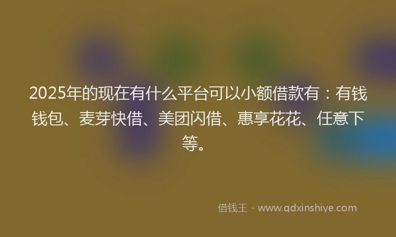 2025年的现在有什么平台可以小额借款有：有钱钱包、麦芽快借、美团闪借、惠享花花、任意下等。
