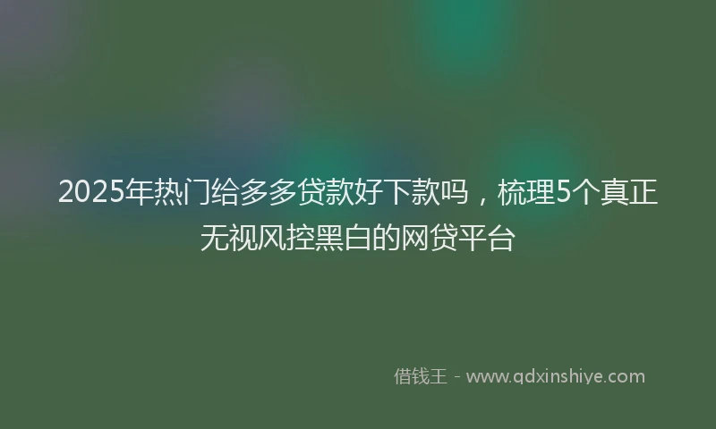 2025年热门给多多贷款好下款吗，梳理5个真正无视风控黑白的网贷平台