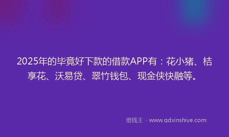 2025年的毕竟好下款的借款APP有：花小猪、桔享花、沃易贷、翠竹钱包、现金侠快融等。